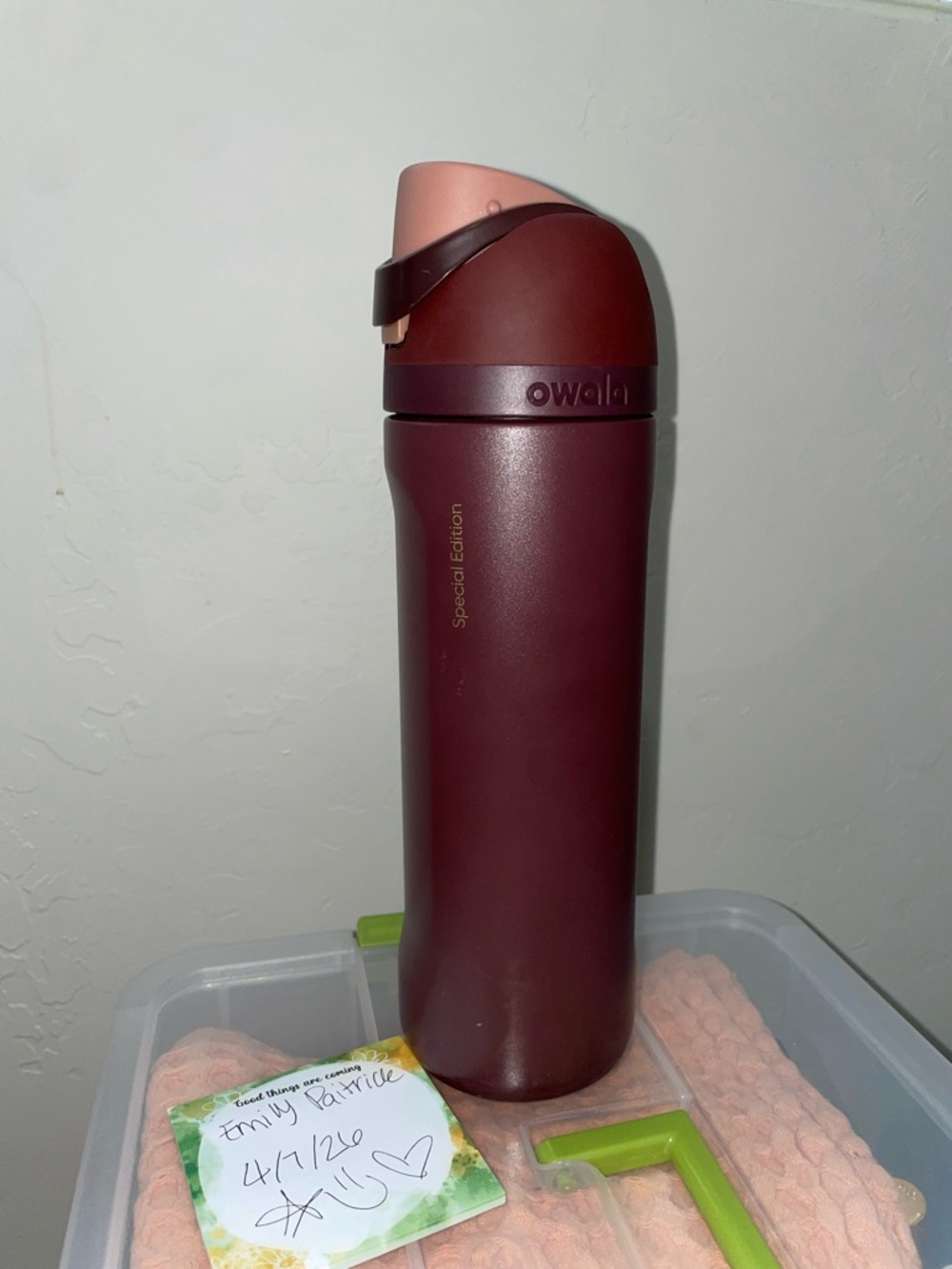 🍂GUC 24oz Special Edition Cinnamon Owala🍂